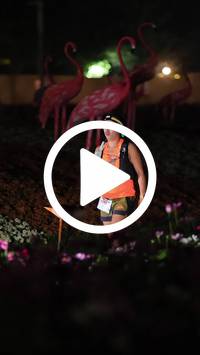 BIB:  <button type="button" onclick="openModal(27591180)" class="btn btn-primary btn-sm float-right" data-toggle="modal" data-target=".modal-high-quality">
                <i class="fa fa-download"></i> Download
                </button>